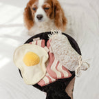 Bfast Set | Enrichment Dog Toy