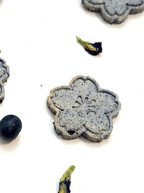 Blueberry Bliss 🫐 - View 2