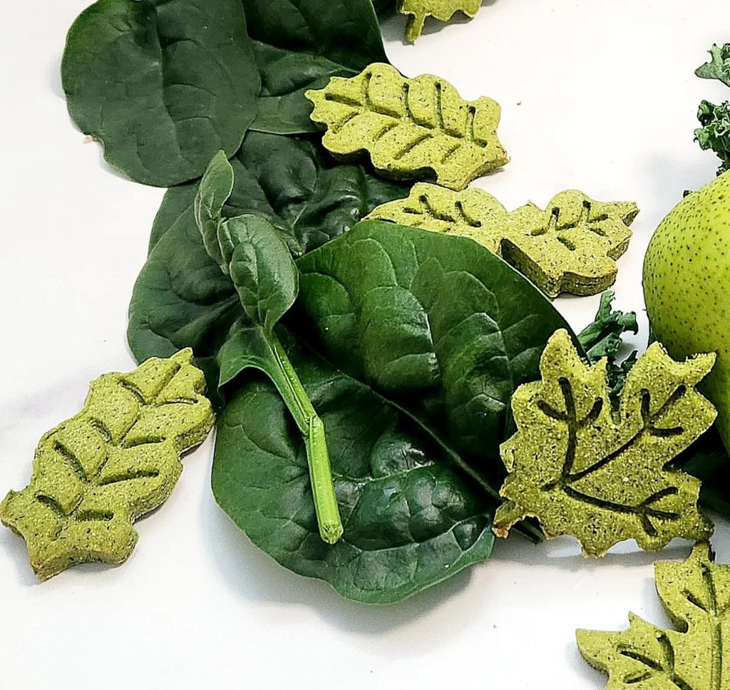 Pawsome Pear-adise 🍐🥬 - View 2