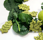 Pawsome Pear-adise 🍐🥬 - View 2