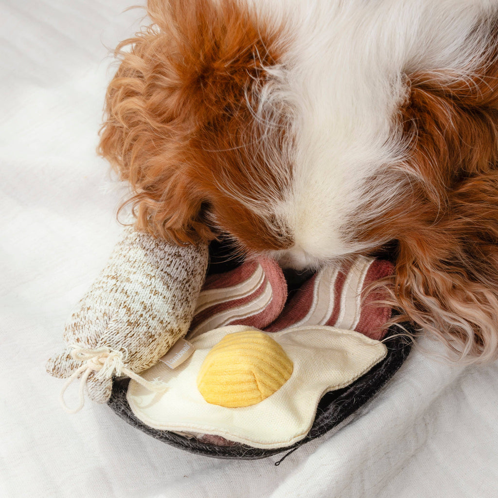 Bfast Set | Enrichment Dog Toy