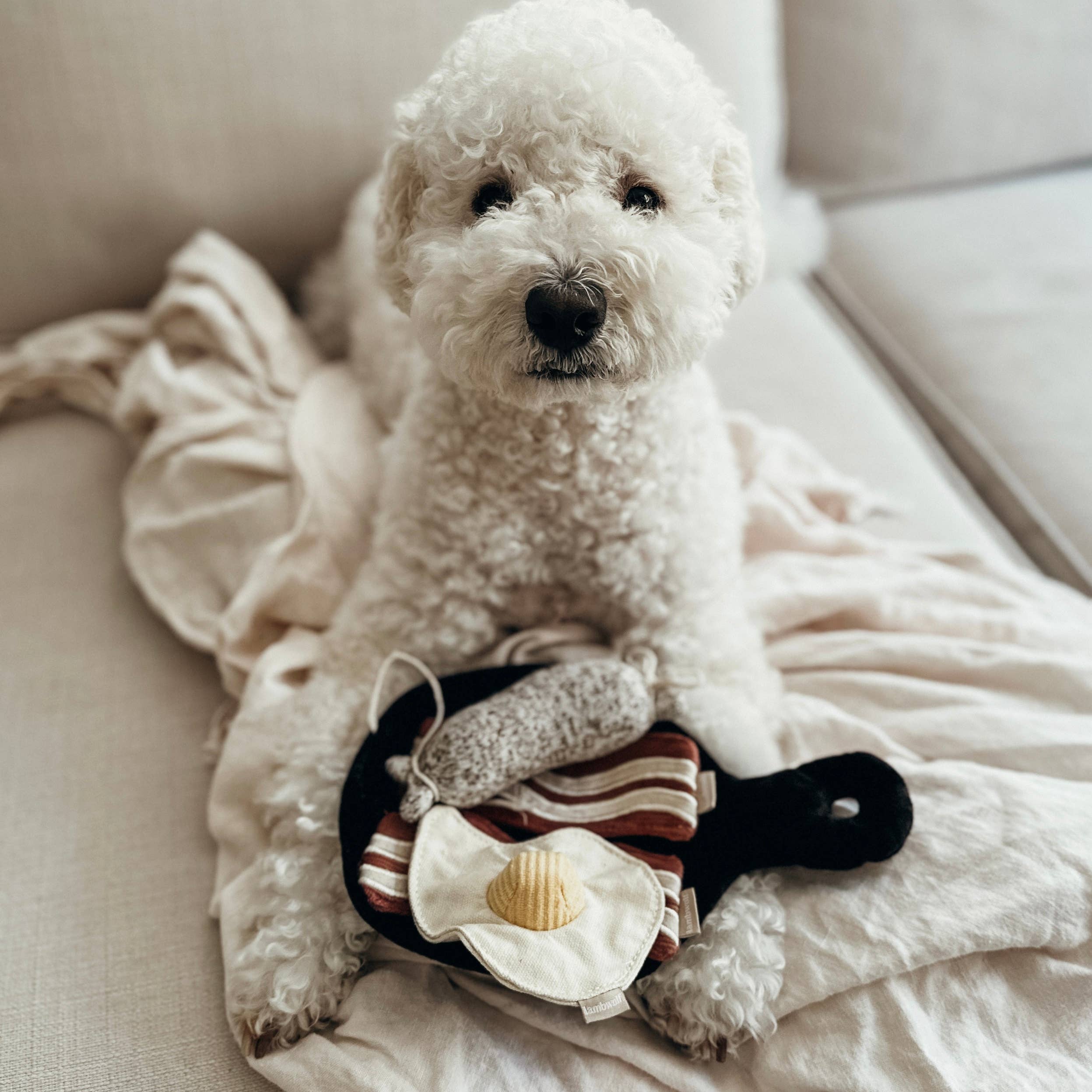 Bfast Set | Enrichment Dog Toy