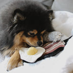 Bfast Set | Enrichment Dog Toy