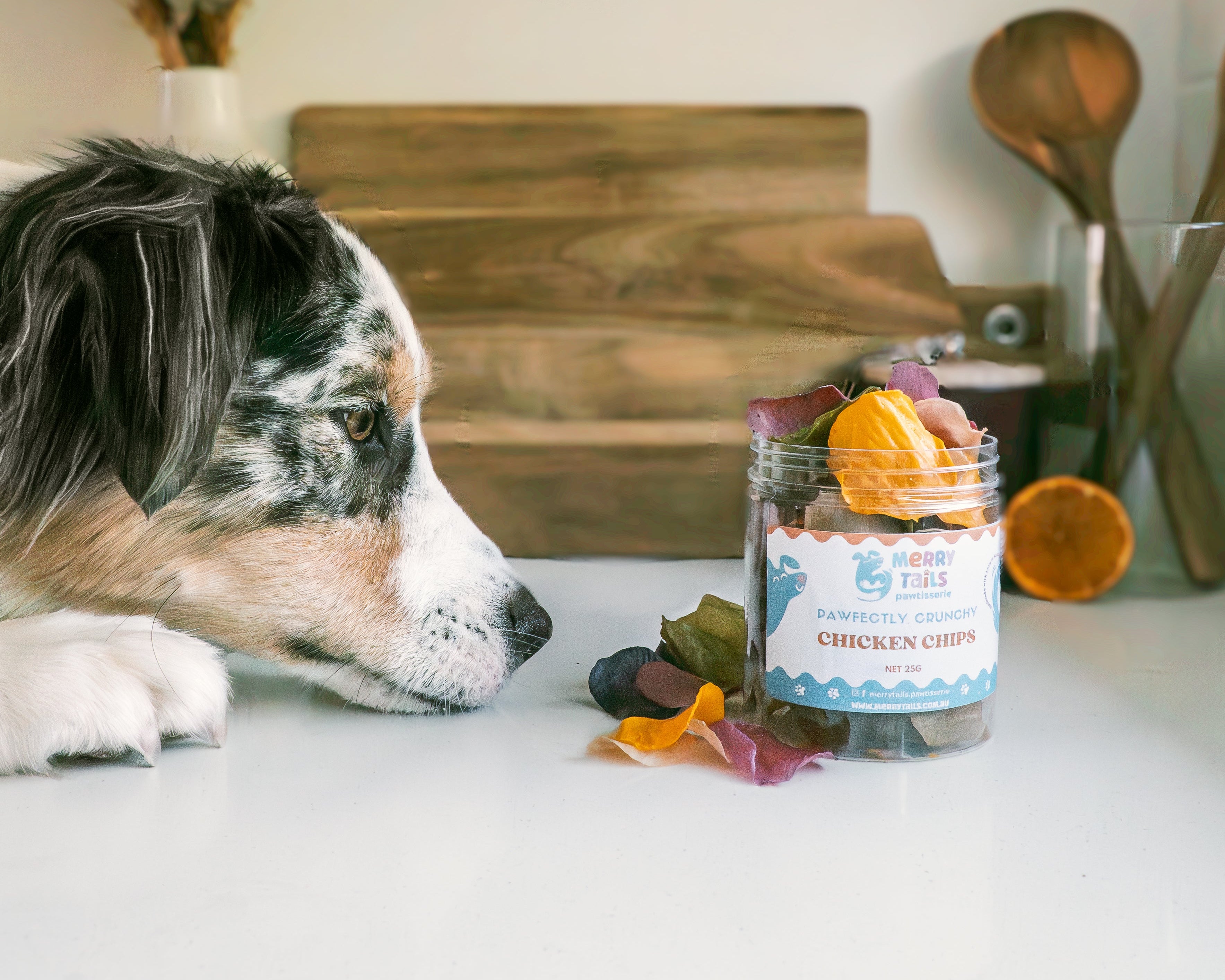 Dog looking at a jar of chicken chips on a kitchen counter