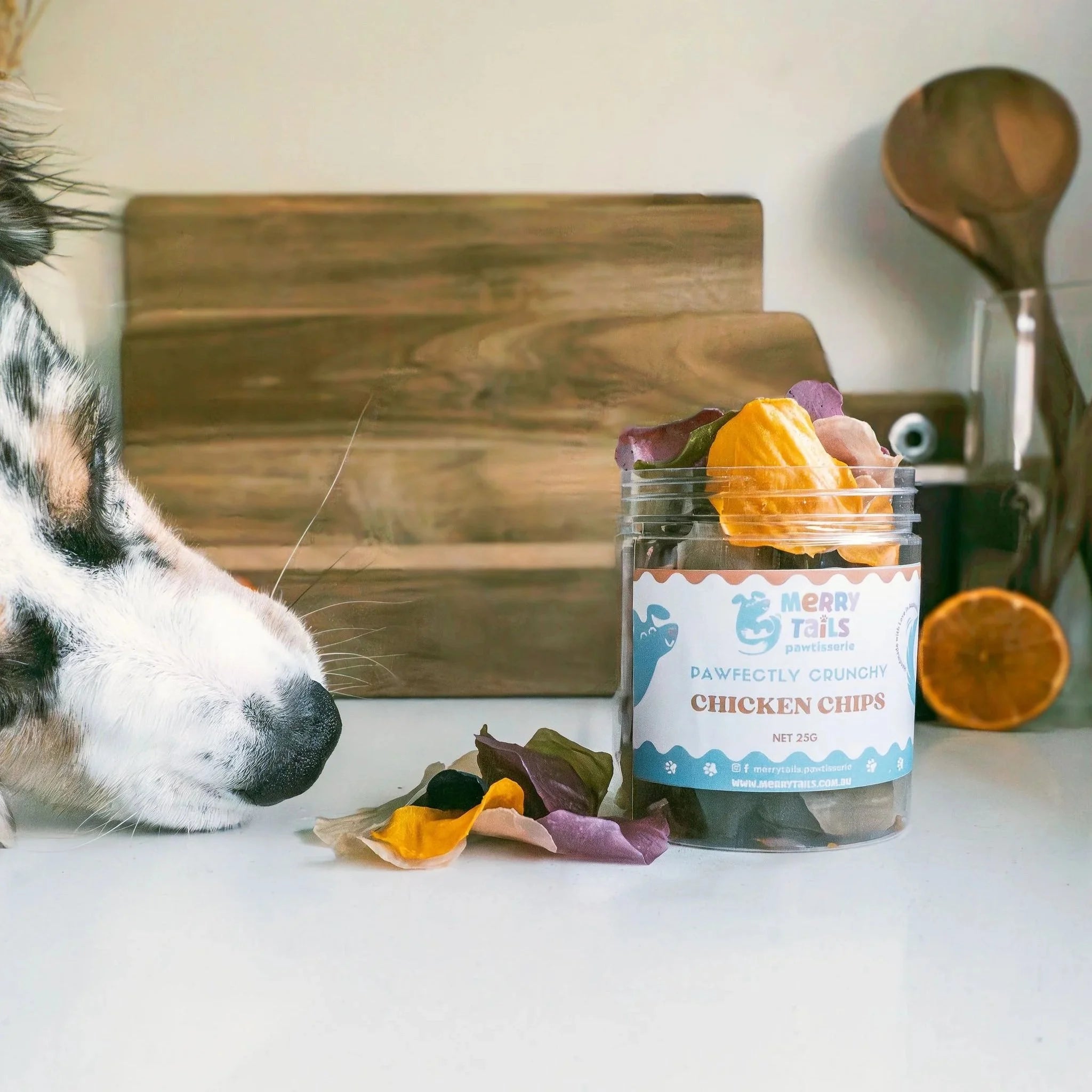 Dog looking at a jar of Merry Tails chicken chips on a kitchen counter.