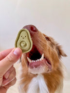 Dog enjoying handmade avocado-shaped biscuits made with real spinach.