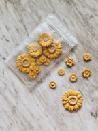 Merry Tails Pawtisserie Sunshine Pawtels All Natural Dog Treats