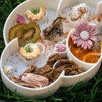 Ollie B Good | Cloud Slow Feeder Bowl - View 5