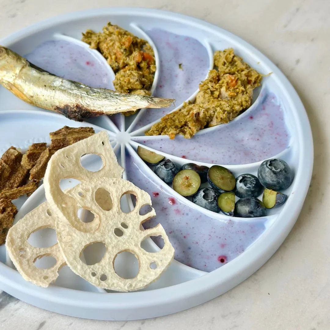 Ollie B Good | Wheelie Lick Mat & Lid - View 5