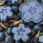 Close-up of flower-shaped dog biscuit with fresh blueberries showing texture and detail