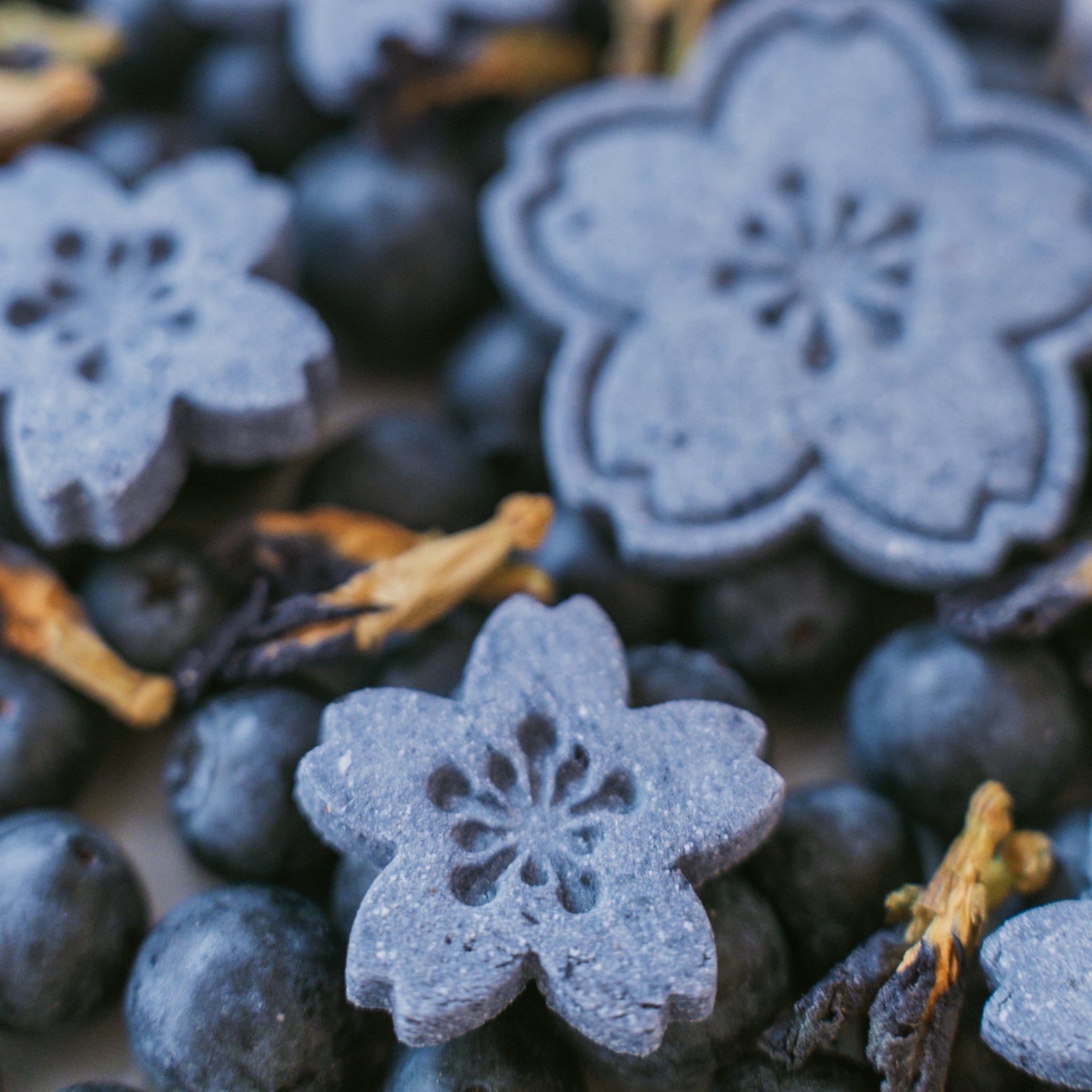 Close-up of flower-shaped dog biscuit with fresh blueberries showing texture and detail