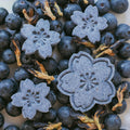 Flat lay of Blueberry Bliss dog biscuits handmade with butterfly pea flowers and fresh blueberries