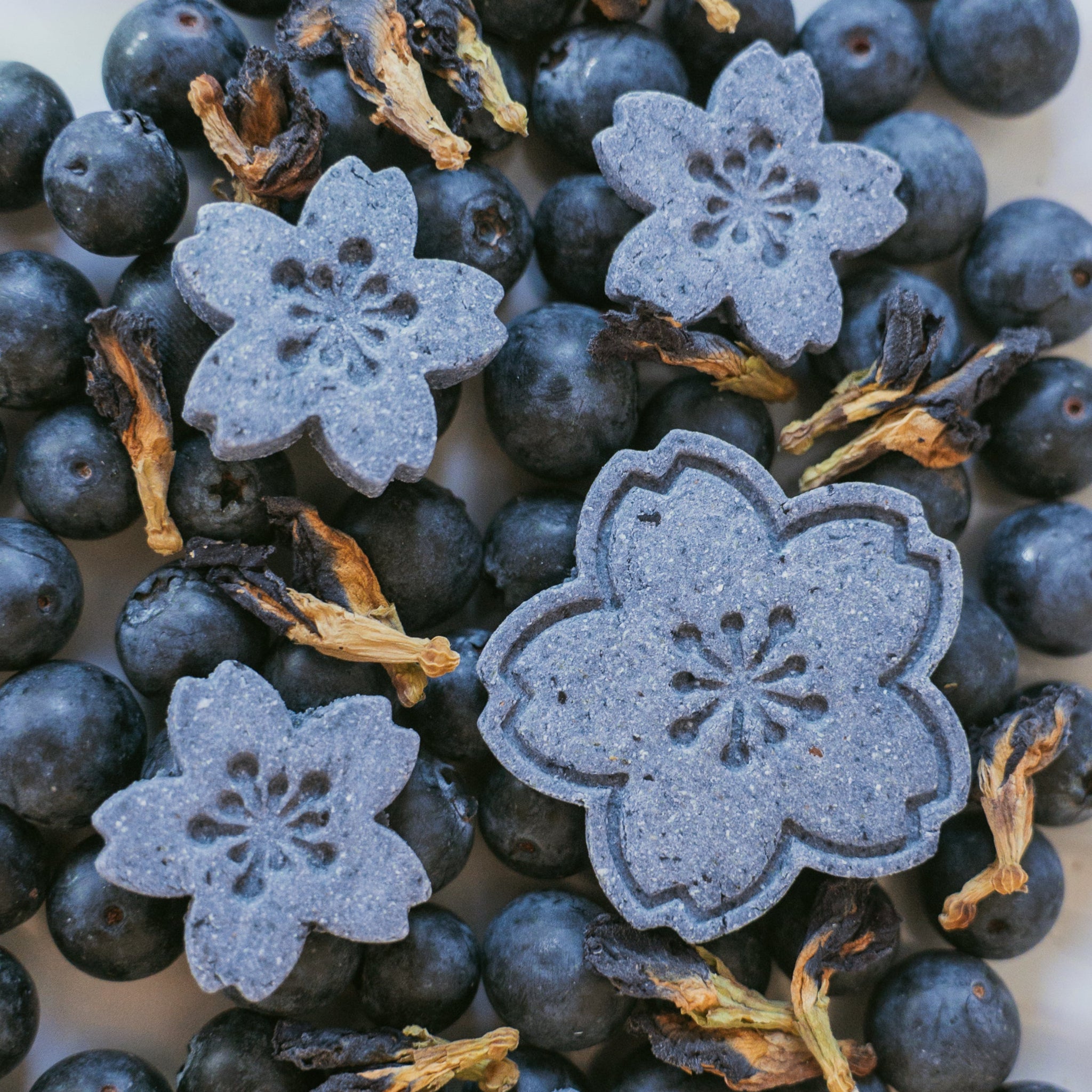 Flat lay of Blueberry Bliss dog biscuits handmade with butterfly pea flowers and fresh blueberries