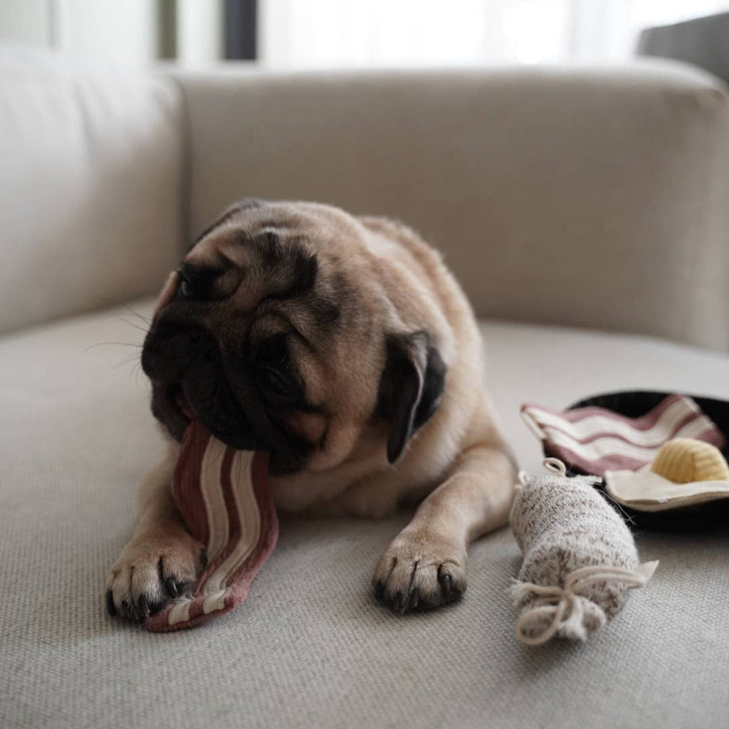 Bfast Set | Enrichment Dog Toy