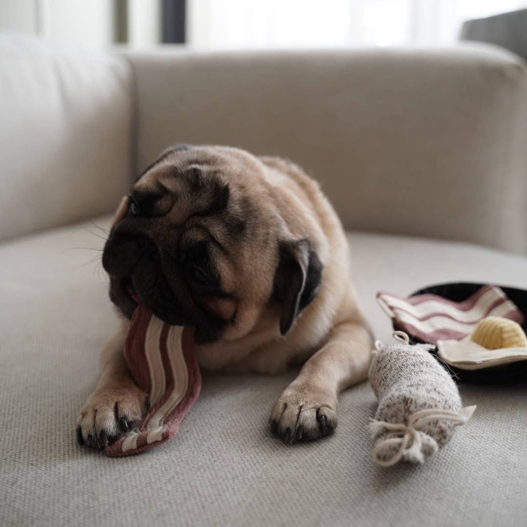 Bfast Set | Enrichment Dog Toy