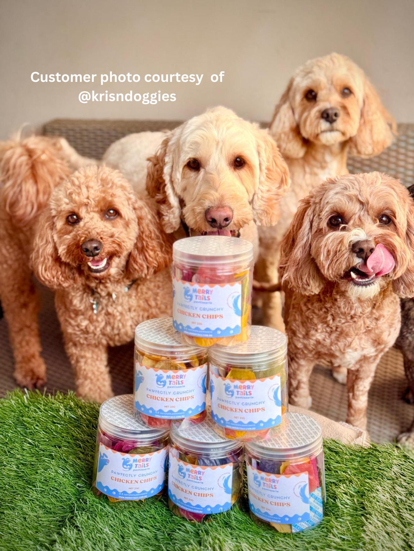 Four dogs eagerly watching Pawfectly Crunchy Chicken Chips, with one dog licking its face in anticipation