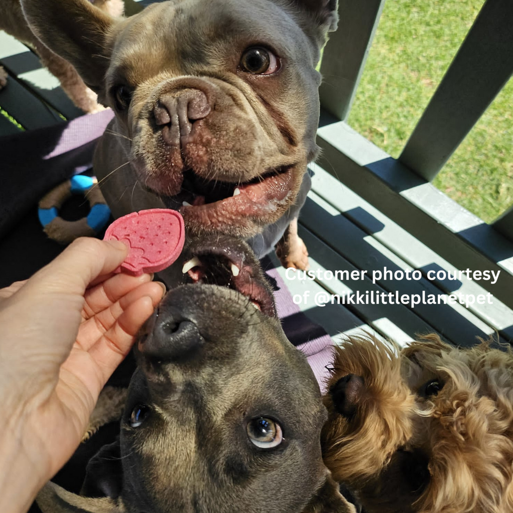 A few dogs trying to reach Berry Beet Bites dog biscuit made with real strawberries and beetroot