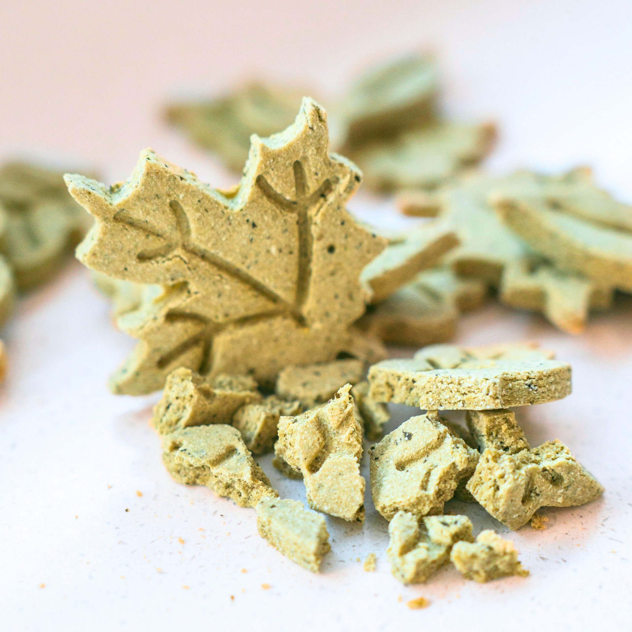 Close-up of green kale dog biscuits with crumb texture, showing handmade natural dog treats