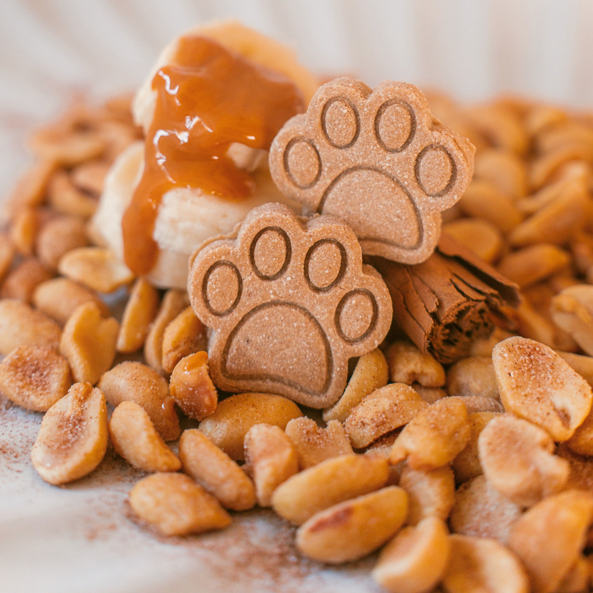 Handcrafted paw shaped dog biscuits with Peanut butter banana and cinnamon close up