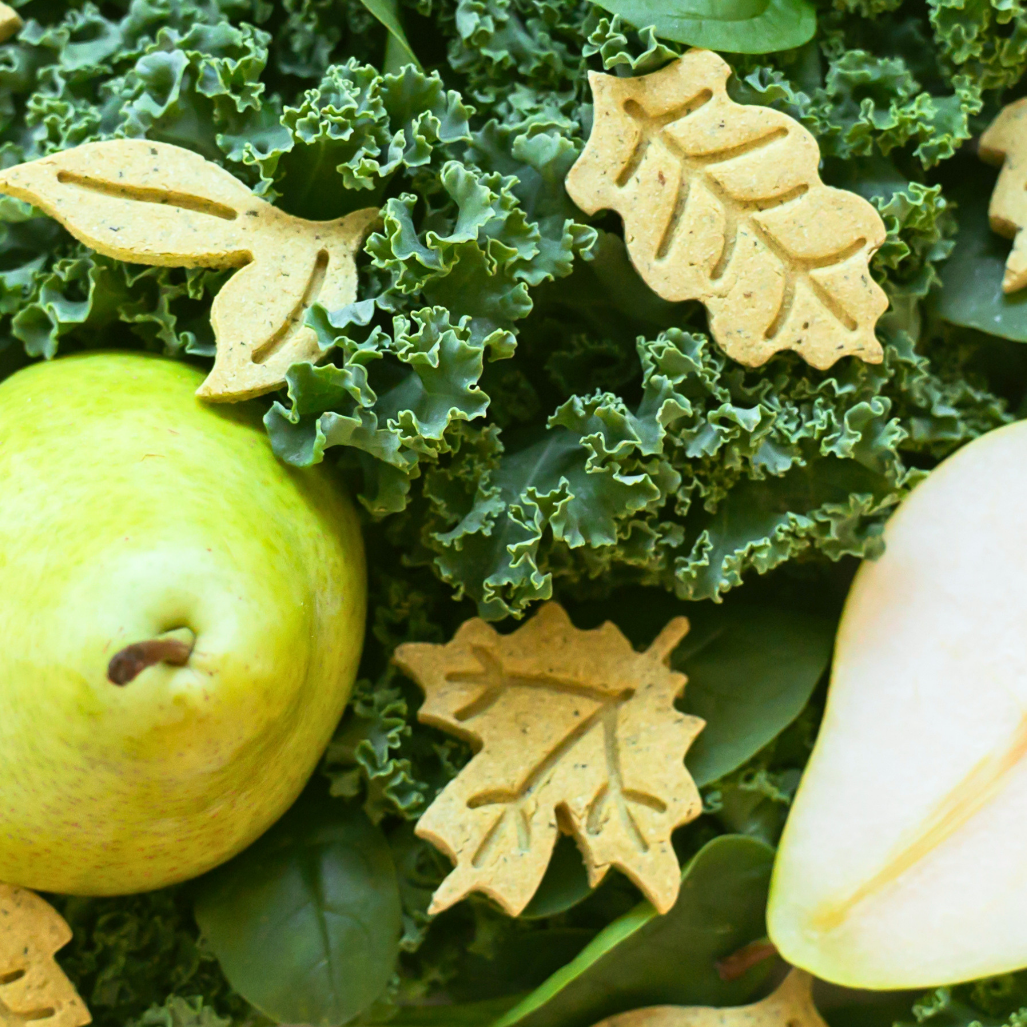 Close-up of leaf-shaped pear dog cookies with kale and spinach