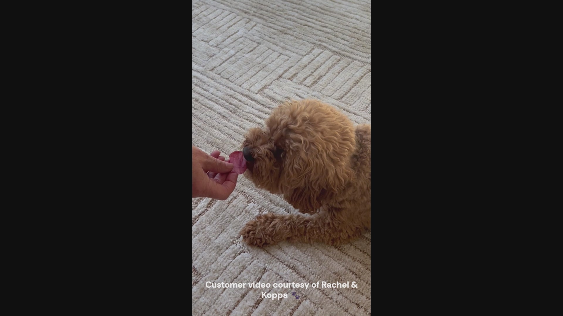 Customer video of Koppa the dog crunching a chicken dog treat and licking his face after eating