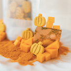 Pumpkin dog treats styled with fresh pumpkin and turmeric
