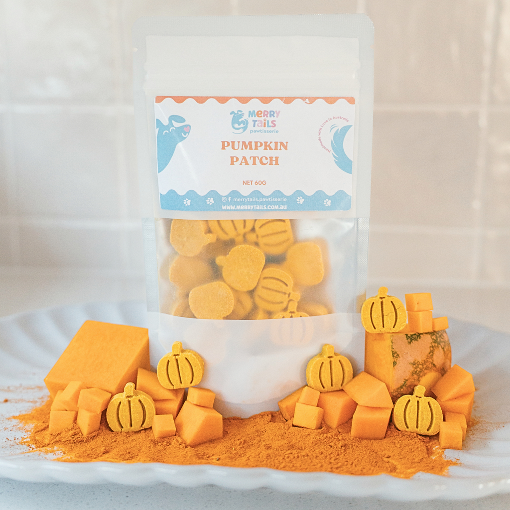 Pumpkin Patch dog biscuits by Merry Tails Pawtisserie in its packaging